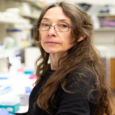 Katherine Wood, PhD